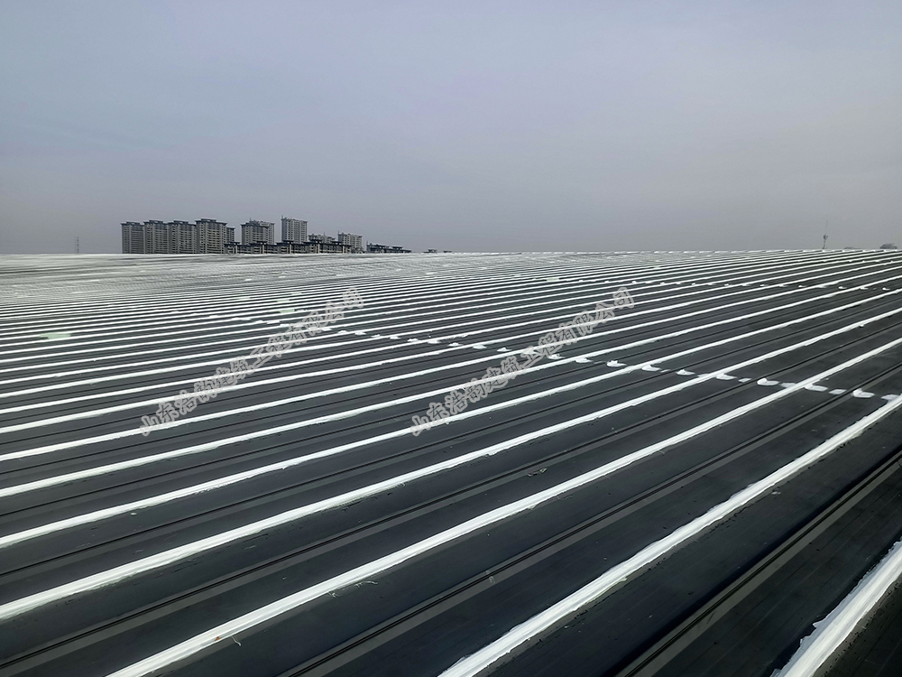 濟(jì)南宜和食品有限公司（鋼結(jié)構(gòu)屋面防腐、防水）