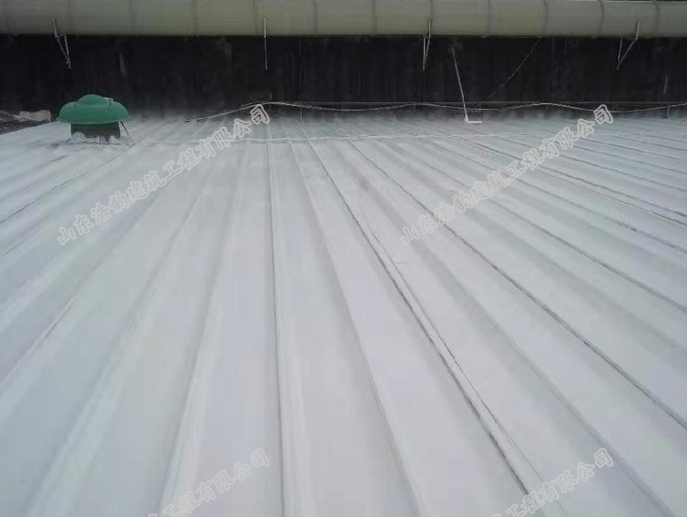 青島泰東制藥有限公司（彩鋼瓦屋面隔熱）